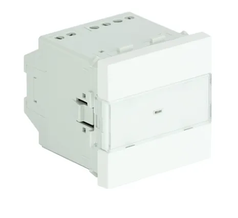 49227-INTERRUPTEUR-TEMPORISE-2-MOD-BLANC-45040_SBR